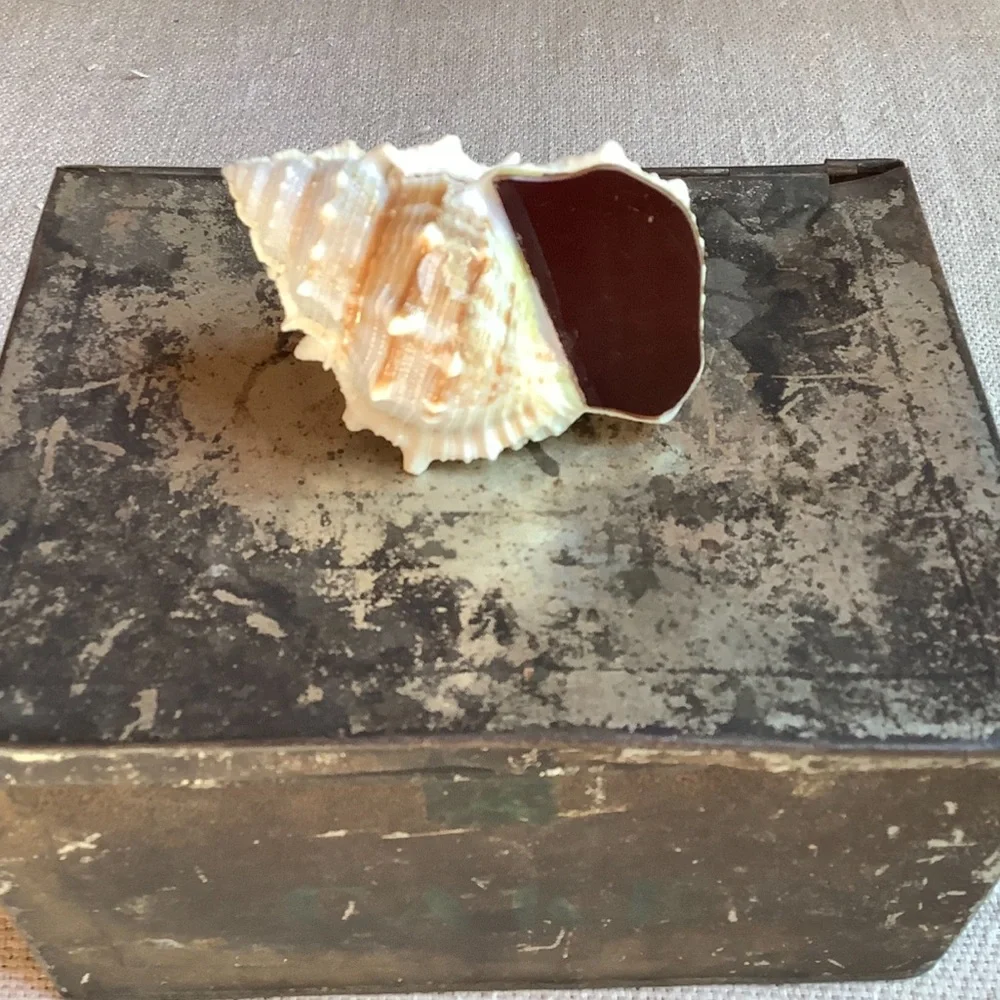 Shell Calligraphy Inkwell - Picture 2 of 4